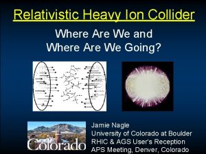 Relativistic Heavy Ion Collider Where Are We and