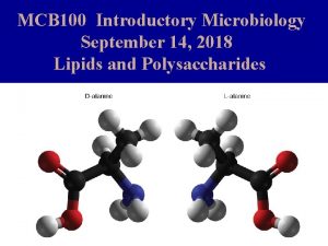 MCB 100 Introductory Microbiology September 14 2018 Lipids