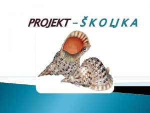 PROJEKT K O LJ K A NOSITELJI PROJEKTA