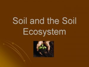 Soil and the Soil Ecosystem Soil Characteristics l