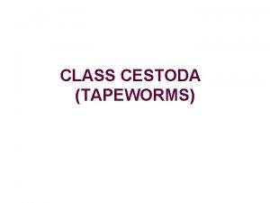 CLASS CESTODA TAPEWORMS General characters Tapeworms have flat