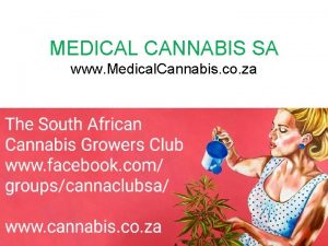 MEDICAL CANNABIS SA www Medical Cannabis co za