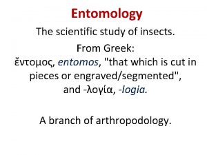 Entomology The scientific study of insects From Greek