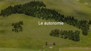 Le autonomie La Costituzione e le autonomie LA