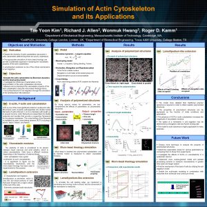 Simulation of Actin Cytoskeleton and its Applications Tae