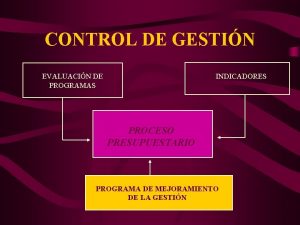 CONTROL DE GESTIN EVALUACIN DE PROGRAMAS INDICADORES PROCESO