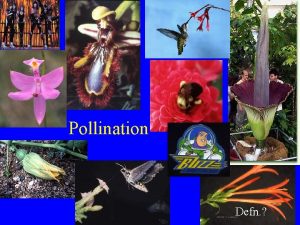 Pollination Defn Pollination Defn transfer pollen from stamen