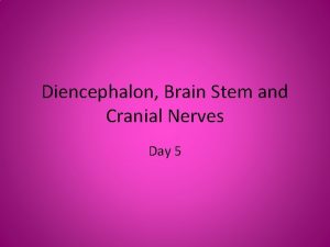 Diencephalon Brain Stem and Cranial Nerves Day 5