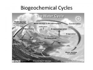 Biogeochemical Cycles Biogeochemical Cycles biogeochemical cycles or nutrient