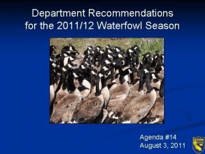 Department Recommendations for the 201112 Waterfowl Season Agenda