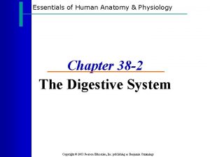 Essentials of Human Anatomy Physiology Chapter 38 2