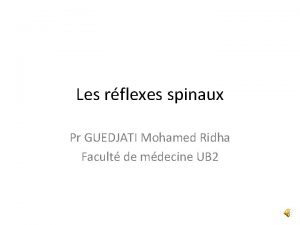 Les rflexes spinaux Pr GUEDJATI Mohamed Ridha Facult