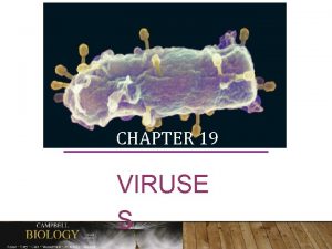 8 43 AM CHAPTER 19 VIRUSE S THE