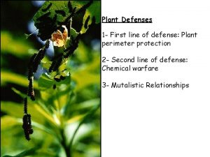 Plant Defenses 1 First line of defense Plant