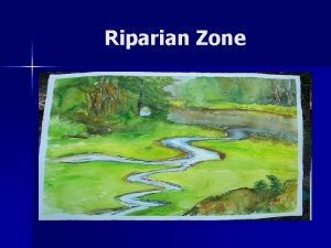 Riparian Zone What is a Riparian Zone A