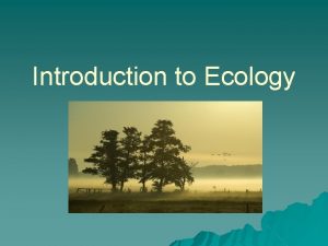 Introduction to Ecology Organism An individual living thing