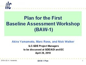 Plan for the First Baseline Assessment Workshop BAW1