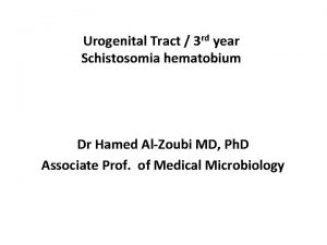 Urogenital Tract 3 rd year Schistosomia hematobium Dr