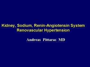 Kidney Sodium ReninAngiotensin System Renovascular Hypertension Andreas Pittaras