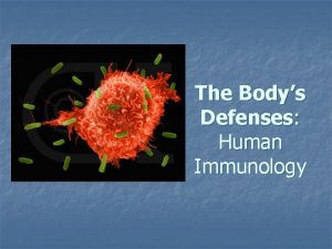 The Bodys Defenses Human Immunology Defense n Your