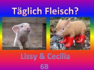 Tglich Fleisch Lissy Cecilia 6 B Inhaltsverzeichnis 1