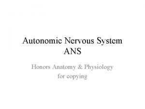 Autonomic Nervous System ANS Honors Anatomy Physiology for