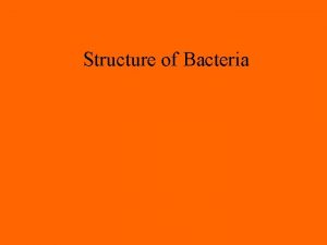 Structure of Bacteria Size of Bacteria Average bacteria
