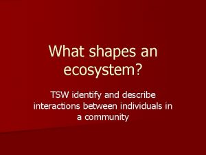 What shapes an ecosystem TSW identify and describe