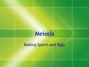 Meiosis Making Sperm and Eggs Vocabulary You get