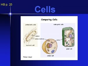 HB p 25 Cells Since every living thing