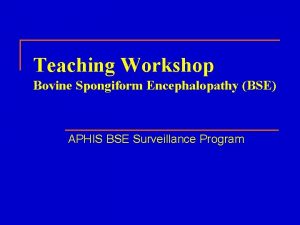 Teaching Workshop Bovine Spongiform Encephalopathy BSE APHIS BSE
