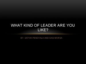 WHAT KIND OF LEADER ARE YOU LIKE BY