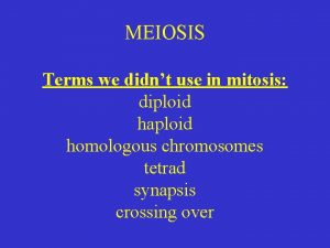 MEIOSIS Terms we didnt use in mitosis diploid