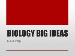BIOLOGY BIG IDEAS EOCT Prep Q What are