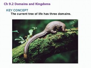 Ch 9 2 Domains and Kingdoms KEY CONCEPT