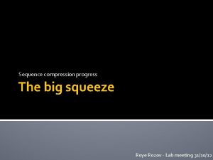 Sequence compression progress The big squeeze Roye Rozov