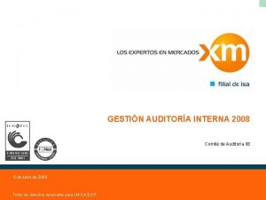 GESTIN AUDITORA INTERNA 2008 Comit de Auditora 08