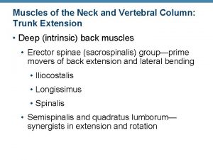 Muscles of the Neck and Vertebral Column Trunk