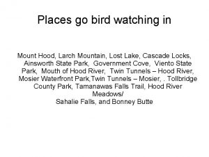 Places go bird watching in Mount Hood Larch