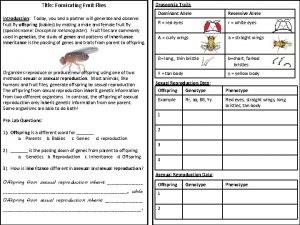 Title Fornicating Fruit Flies Introduction Today you and