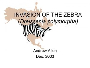 INVASION OF THE ZEBRA Dreissenia polymorpha Andrew Allen