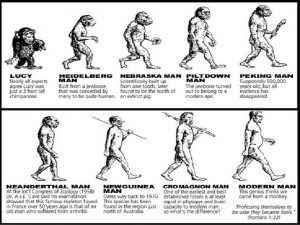 LA DESCENDANCE AVEC MODIFICATION LVOLUTION SELON DARWIN Chapitre