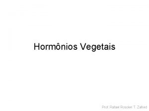 Hormnios Vegetais Prof Rafael Rosolen T Zafred Hormnios