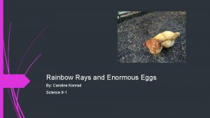 Rainbow Rays and Enormous Eggs By Caroline Konrad Rainbow Rays and Enormous Eggs By Caroline Konrad