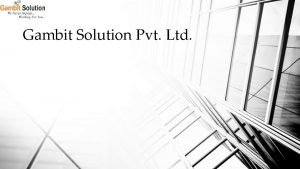 Gambit Solution Pvt Ltd TABLE OF CONTENTS Company