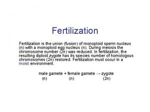 Fertilization is the union fusion of monoploid sperm