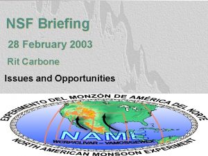 NSF Briefing 28 February 2003 Rit Carbone Issues