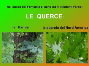 Nel bosco del Fontanile ci sono molti abitanti