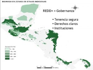 REDD Gobernanza Tenencia segura Derechos claros Instituciones N