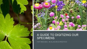 A GUIDE TO DIGITIZING OUR SPECIMENS FOR WEDIGBIO